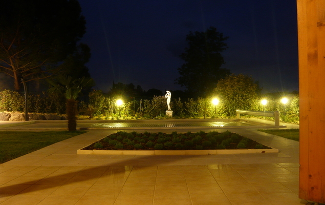 Les Palmiers - Photo 3