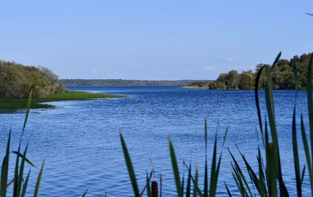 Souleyraou - Photo 51