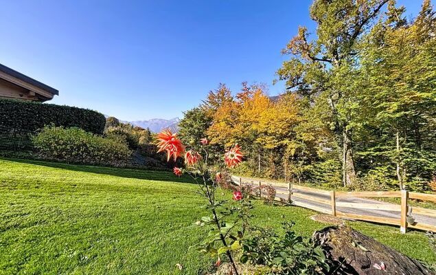 Le Blueberry - Photo 7