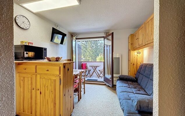 Résidence des Montagnes - Photo 9