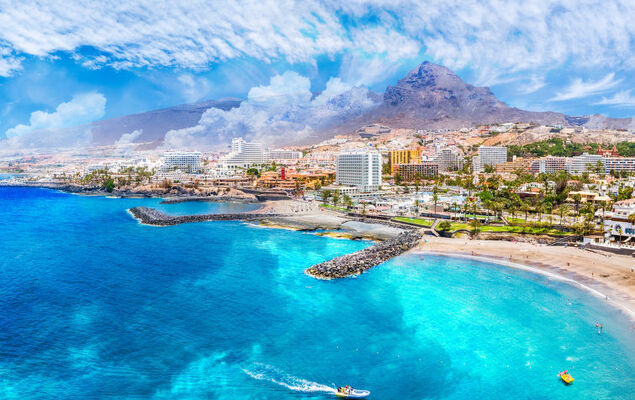 Comfy Altemar - Photo 29